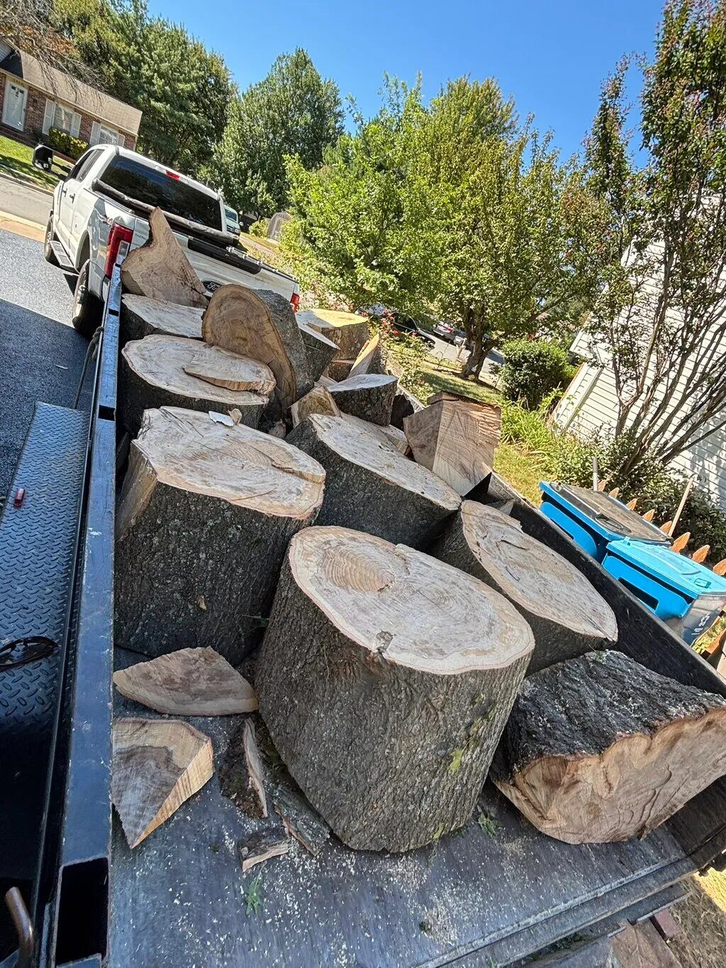 Full house cleanout in Bethesda