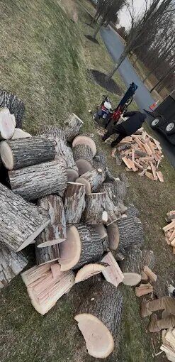 Appliance removal in Bethesda